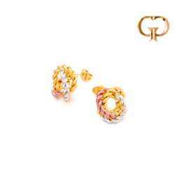 Z2437 -  TOPO TORTUGUITA EN...