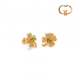 Z2689 - TOPO GRANDE TREBOL...