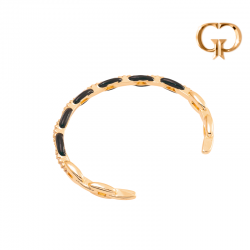 P1493 -  ARO ESPECIAL...