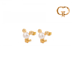 Z2298 -  TOPO RATON GRANDE...