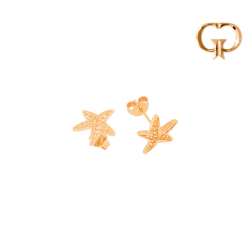 Z2436 -  TOPO ESTTELLA DE...