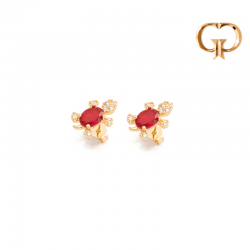 Z2437 -  TOPO TORTUGUITA EN...