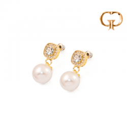 Z3335 -  TOPO EN ZIRCONES Y...